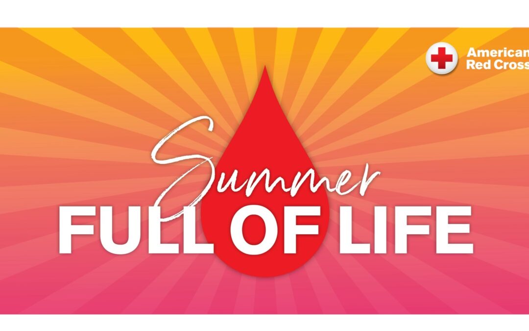 Summer Full of Life
