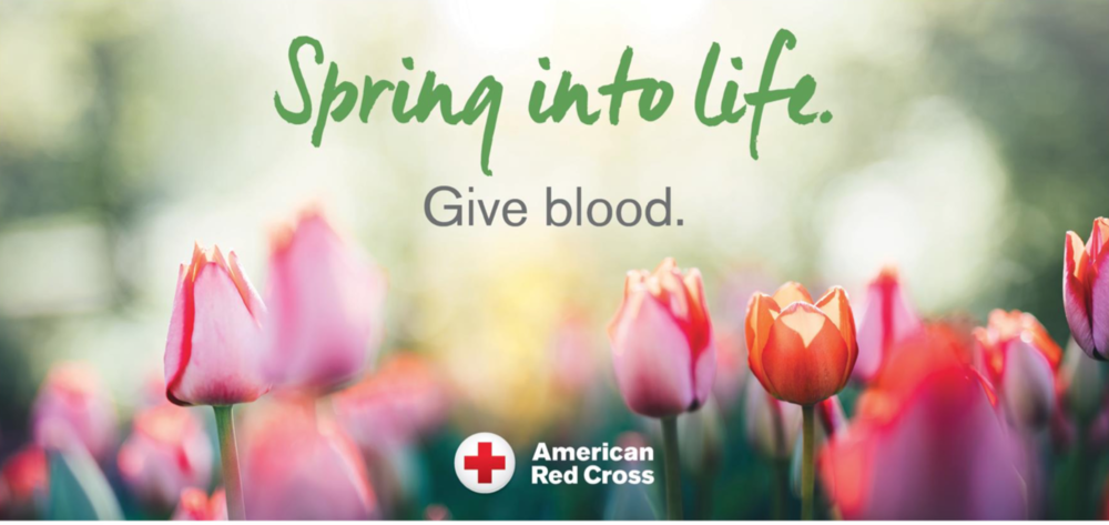 Red-Cross-spring-into-life
