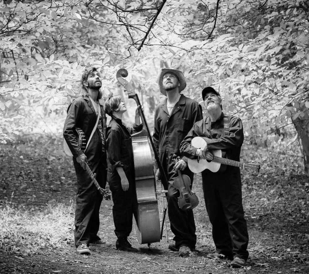 Our Neck of the Woods: Savage Mill Bluegrass Festival 