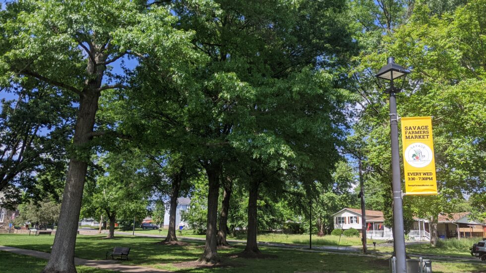 Savage Farmers Market A Tasty Destination in the Heart of Savage