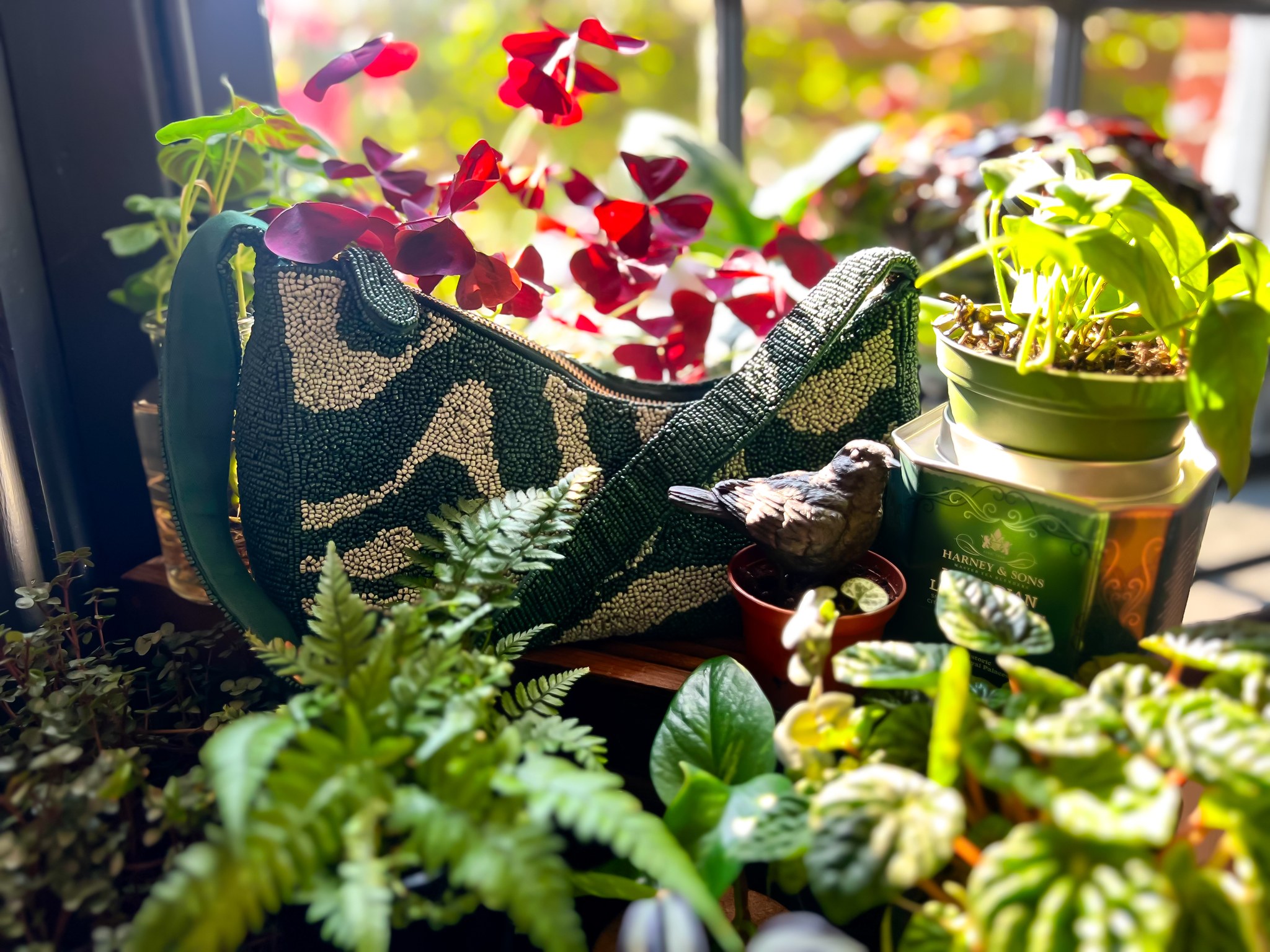 Plants: Sunshine, Food, and Medicine for the Soul