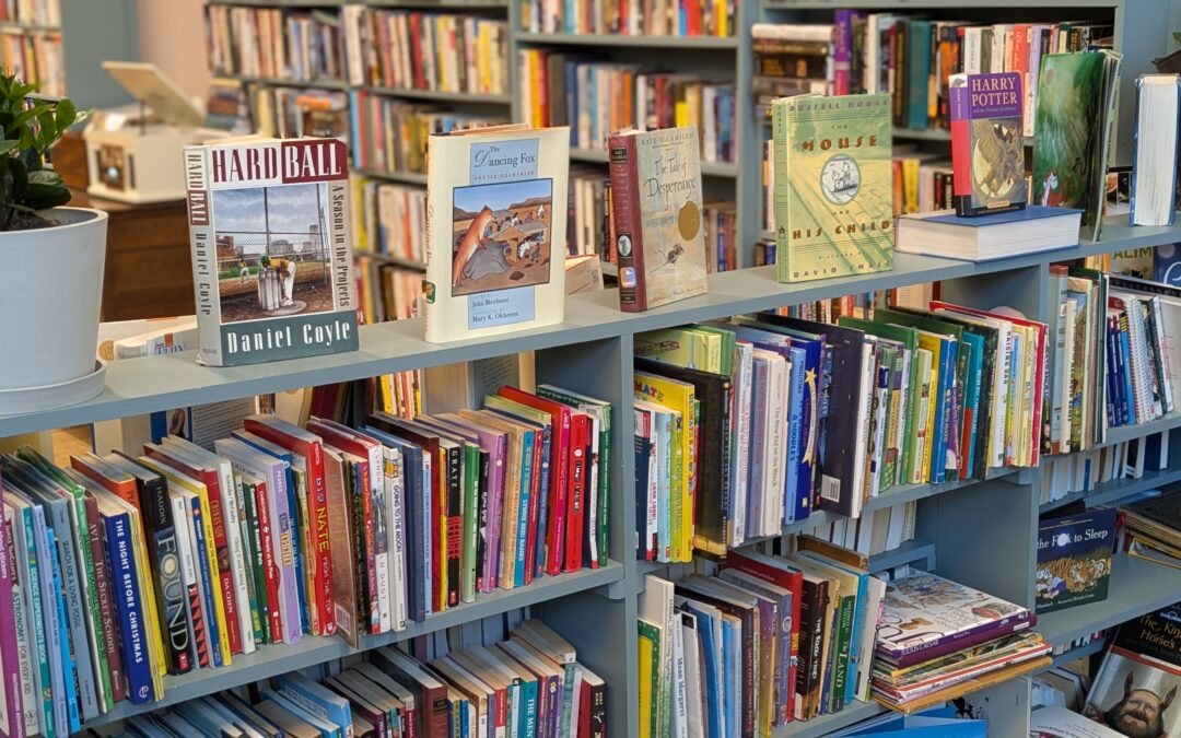 The Bonnie Wee Bookstore: A Cozy Literary Getaway for All Ages