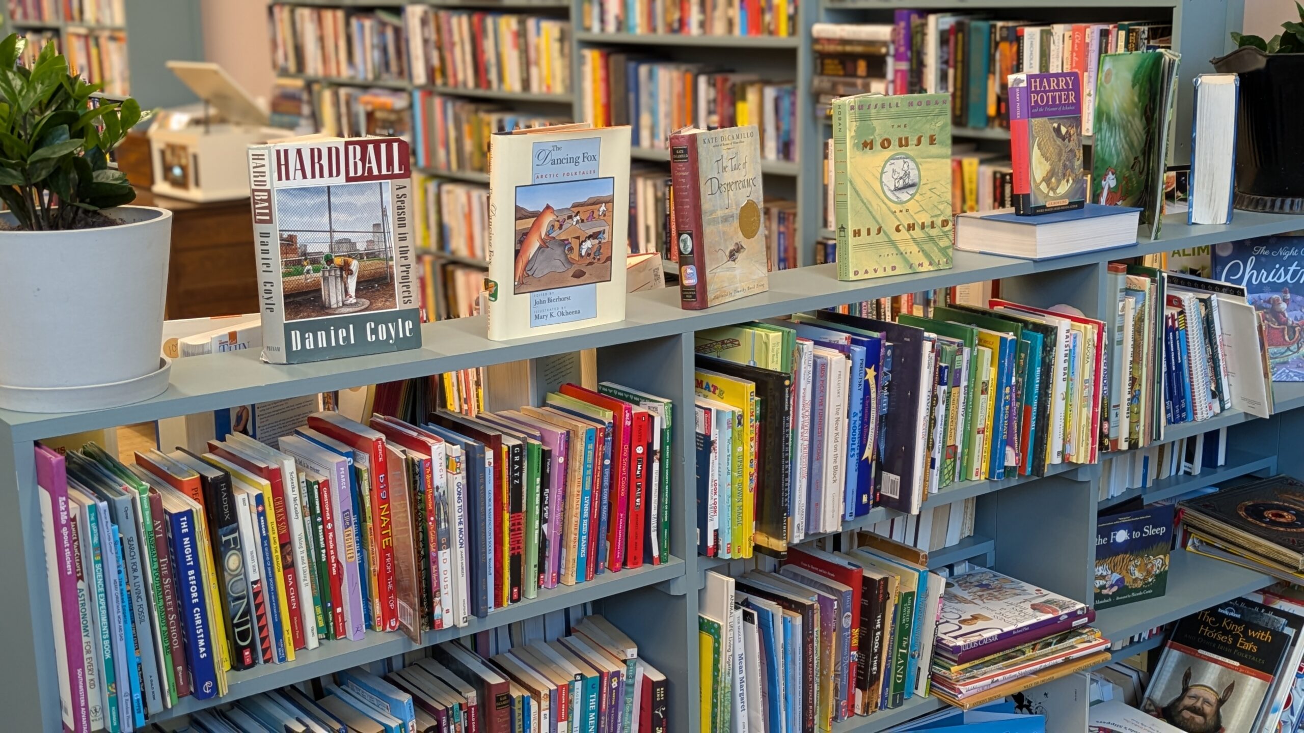 The Bonnie Wee Bookstore: A Cozy Literary Getaway for All Ages