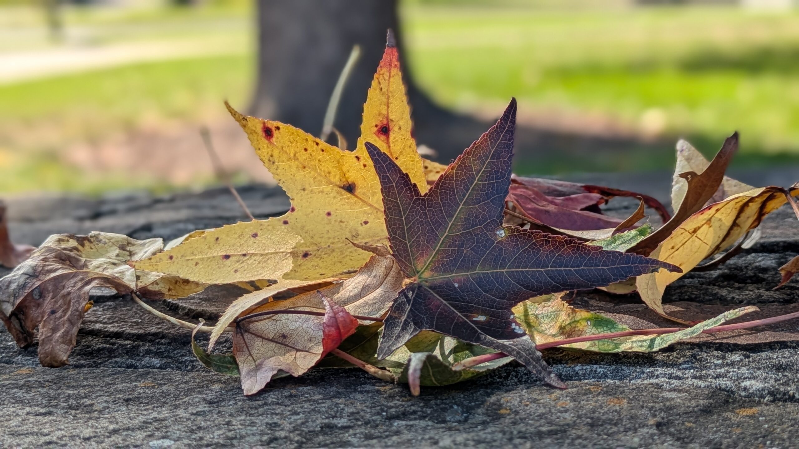 Get Into a Cozy Frame of Mind: Celebrating the “Ber” Months