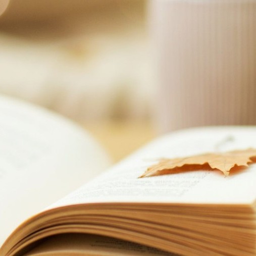 MWA November 2025 Author Showcase