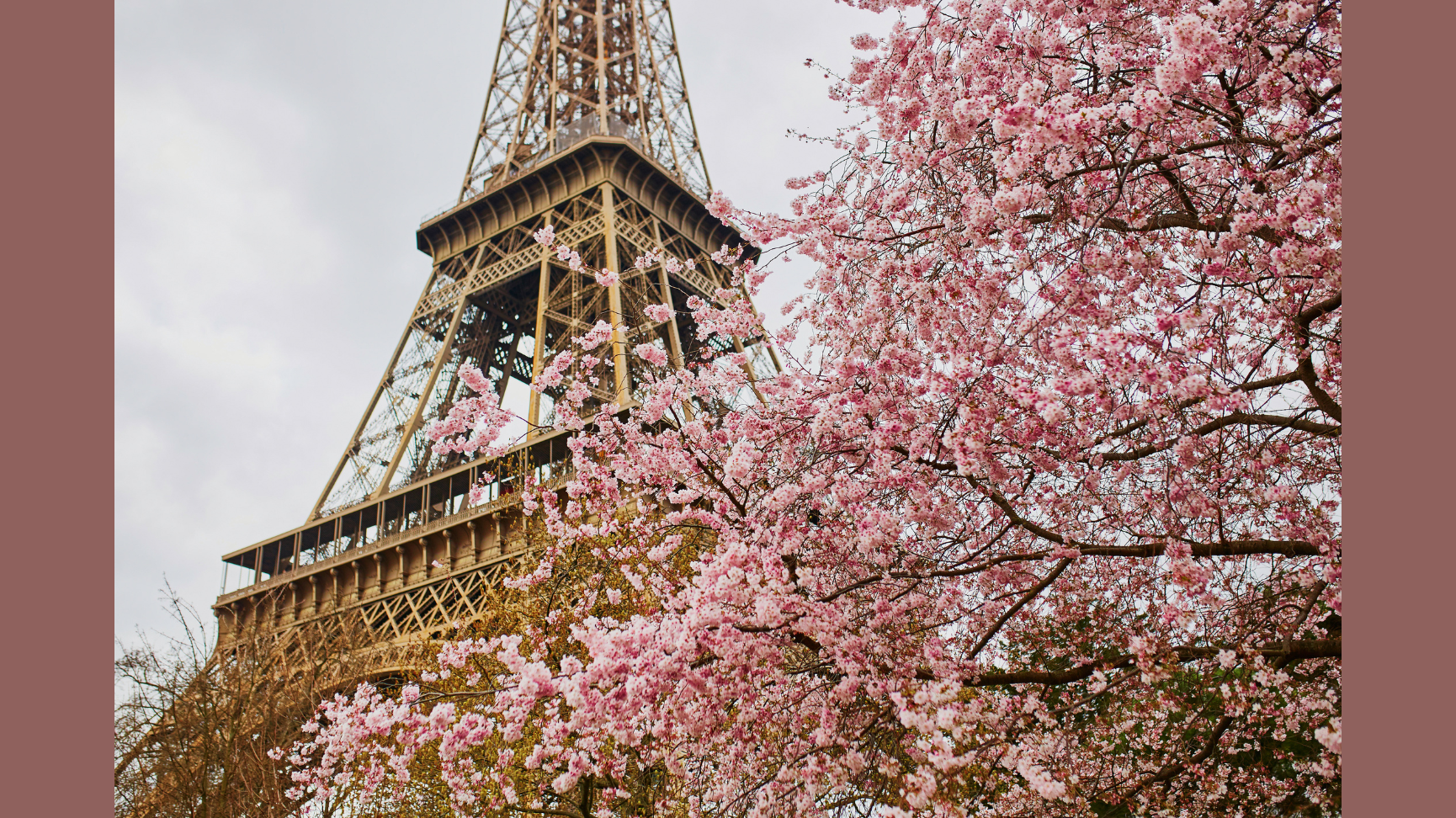 A Parisian Spring: The Boyd Cru Anniversary Experience