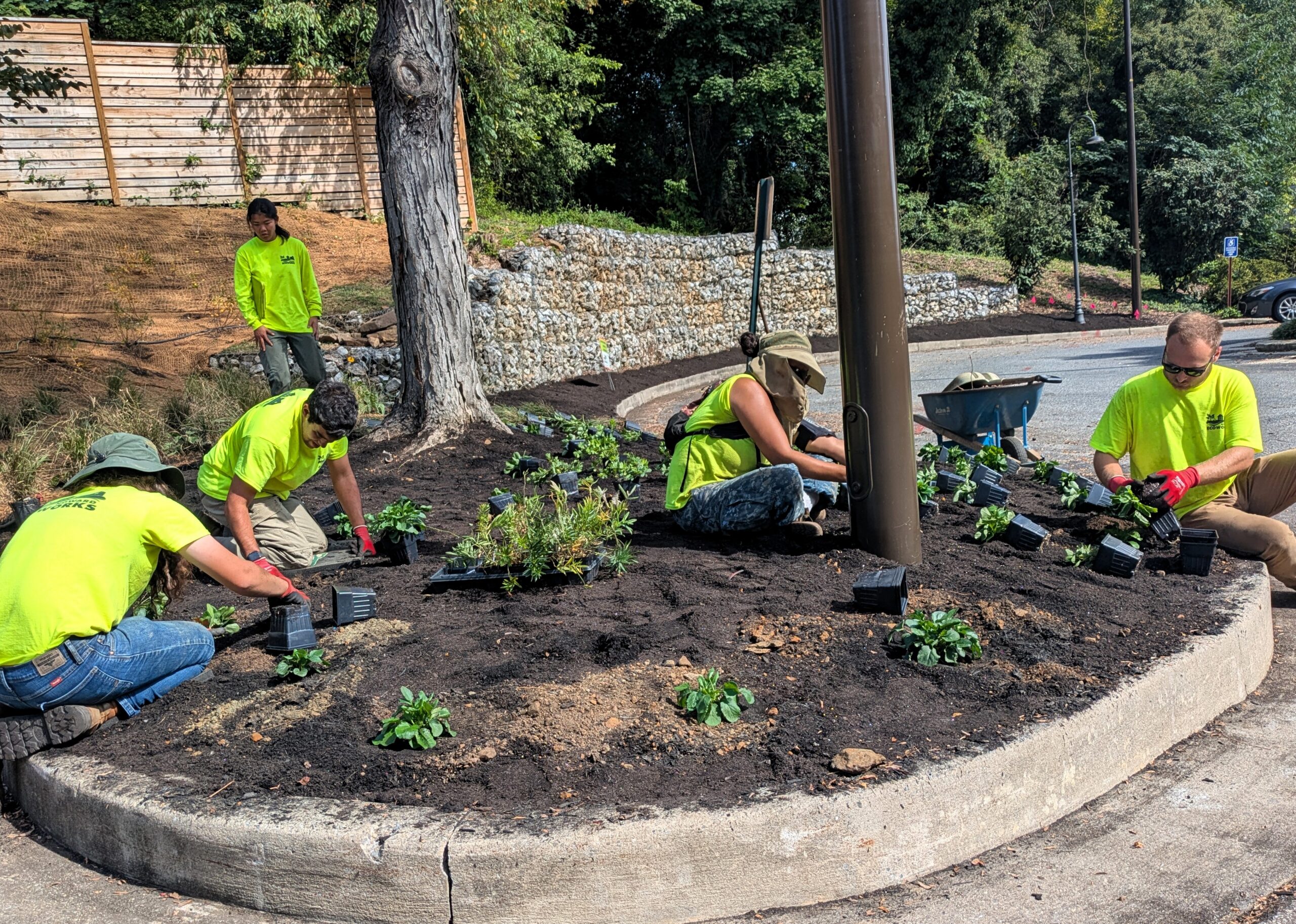 Helping the Birds, Bees and Butterflies at Savage Mill